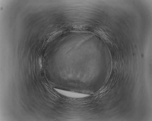 X0000085271106200703231734