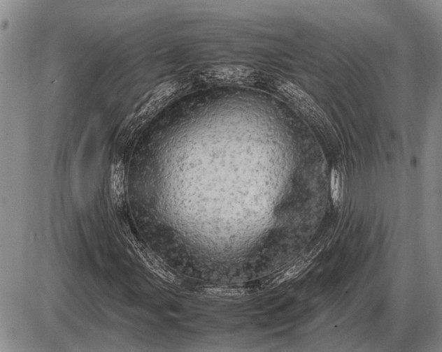 X0000085271107200703231734