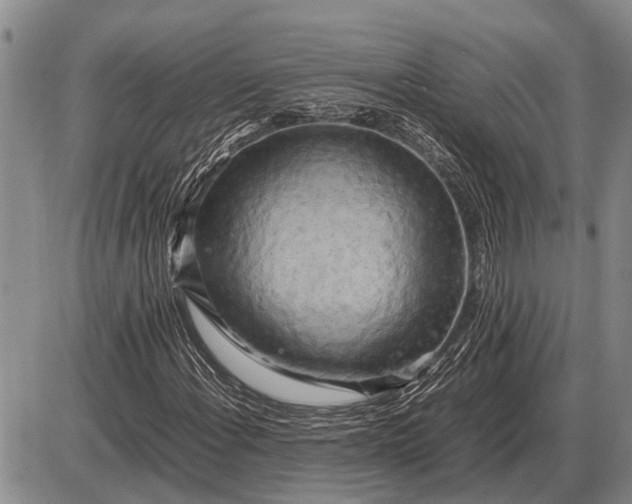 X0000085271108200703231734