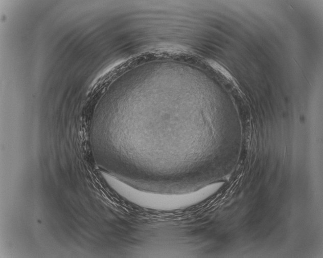 X0000085271112200703231734