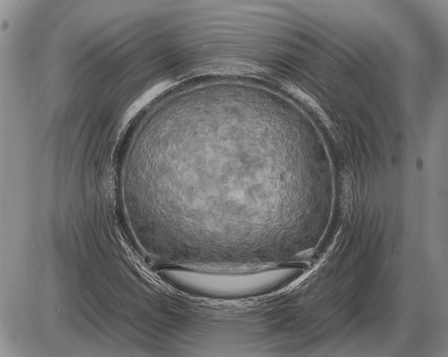 X0000085271114200703231734