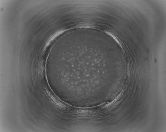 X0000085271115200703231734