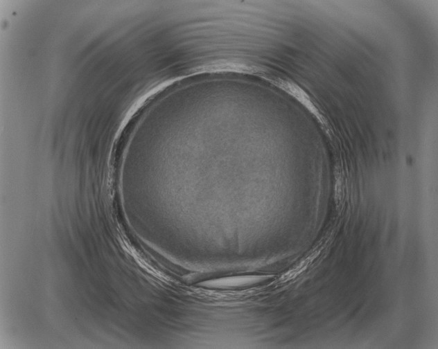 X0000085271116200703231734