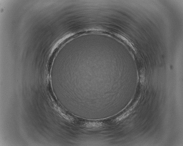 X0000085271117200703231734