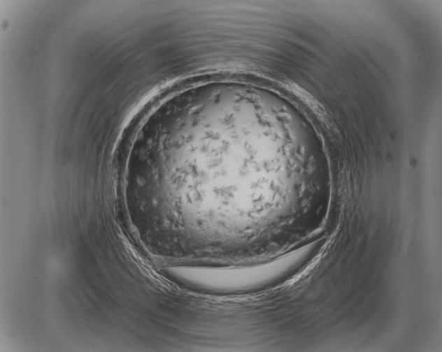 X0000085271118200703231734