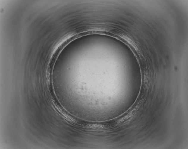 X0000085271119200703231734