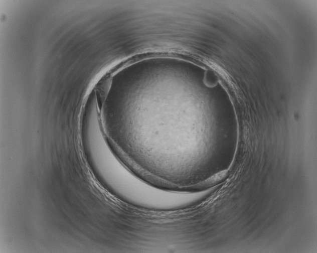 X0000085271120200703231734