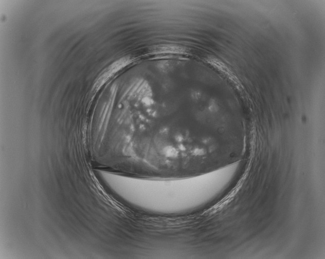 X0000085271121200703231734