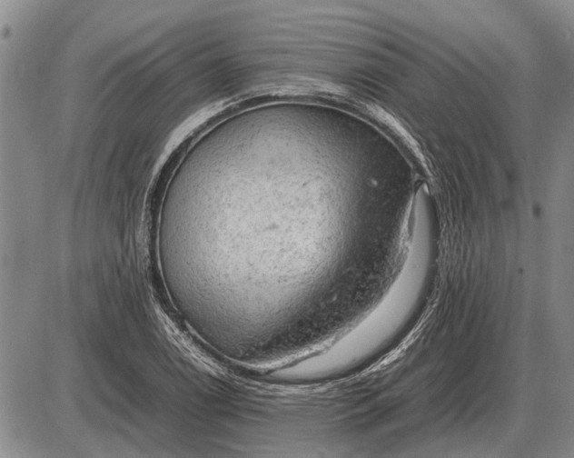 X0000085271122200703231734