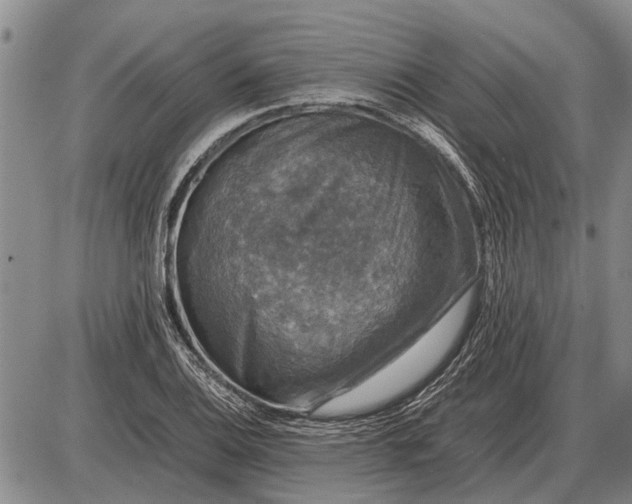 X0000085271124200703231734