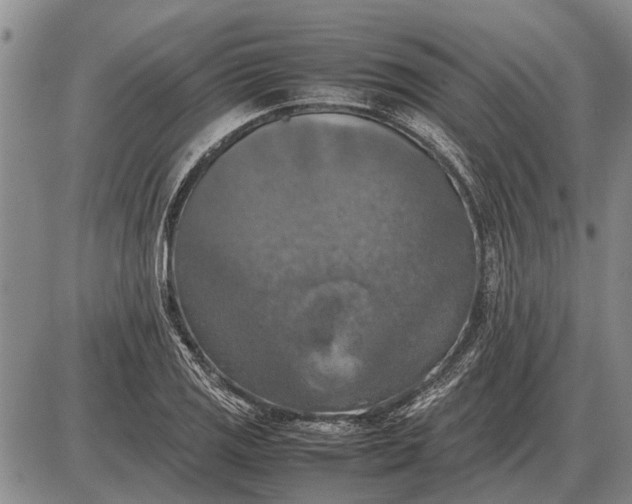 X0000085271125200703231734