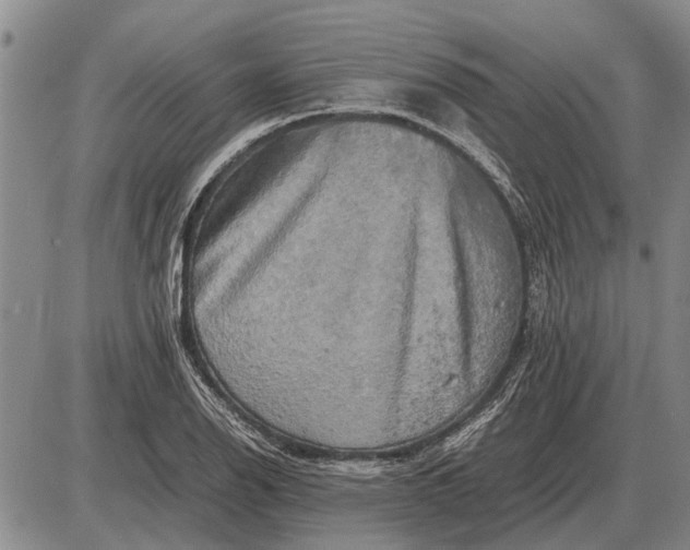 X0000085271126200703231734