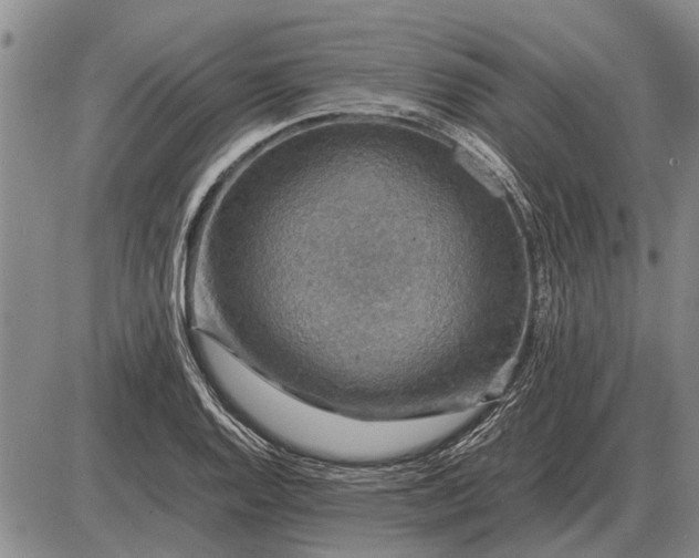 X0000085271128200703231734