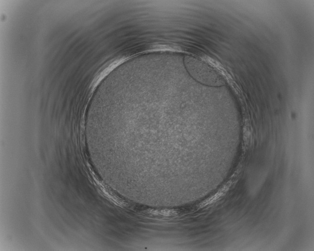 X0000085271129200703231734