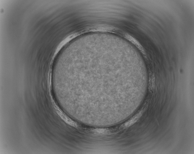 X0000085271130200703231734