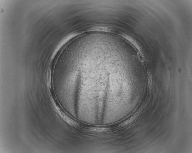 X0000085271131200703231734