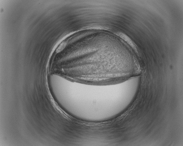 X0000085271132200703231734