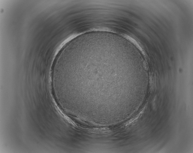 X0000085271133200703231734