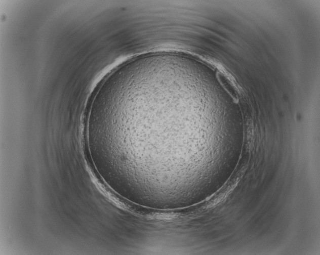 X0000085271134200703231734