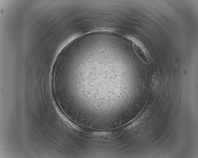 X0000085271135200703231734