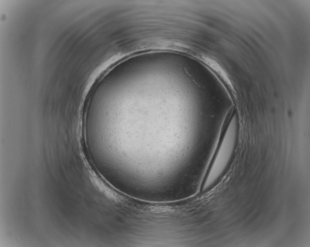 X0000085271136200703231734