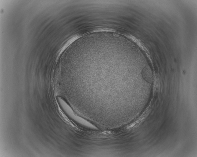 X0000085271137200703231734