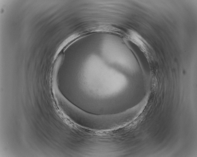 X0000085271138200703231734