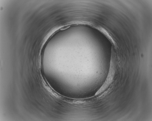 X0000085271140200703231734