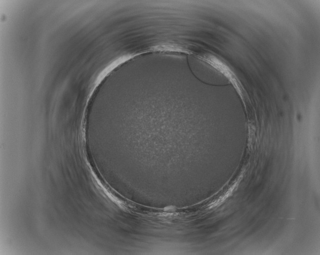 X0000085271141200703231734