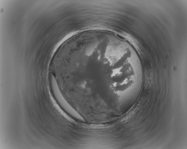 X0000085271142200703231734