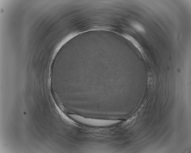 X0000085271143200703231734