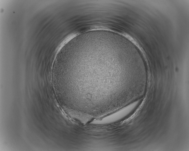 X0000085271145200703231734