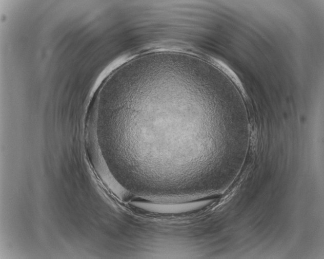 X0000085271146200703231734