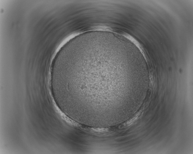 X0000085271147200703231734