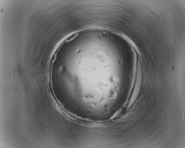 X0000085271148200703231734