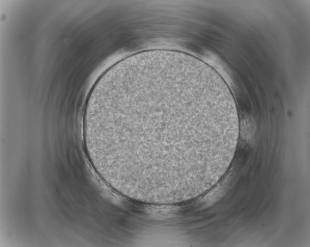 X0000085271150200703231734