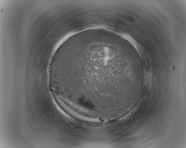 X0000085271151200703231734