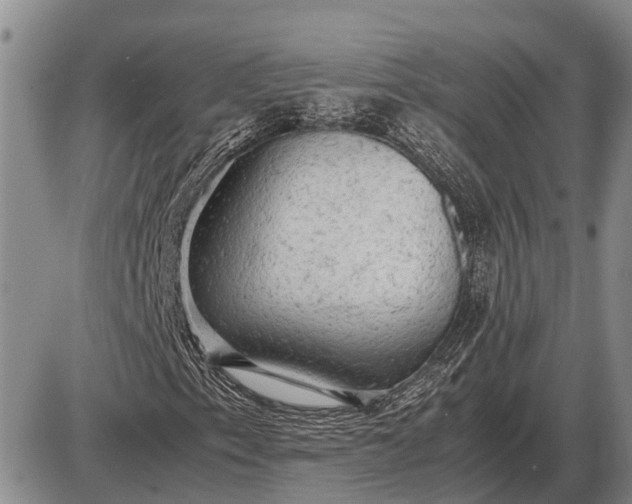 X0000085271153200703231734