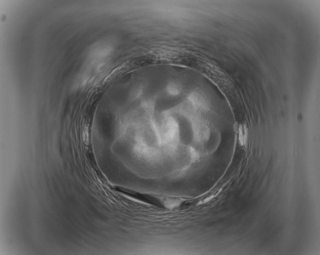 X0000085271155200703231733