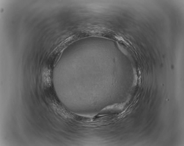 X0000085271156200703231733