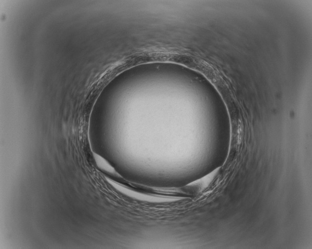 X0000085271157200703231733