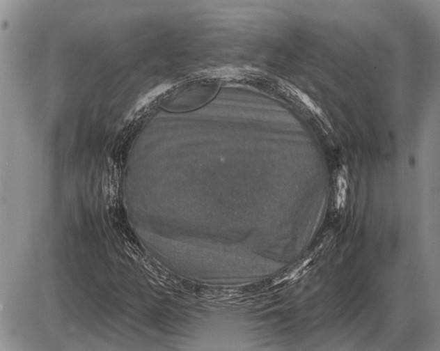 X0000085271158200703231733