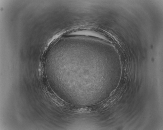 X0000085271160200703231733