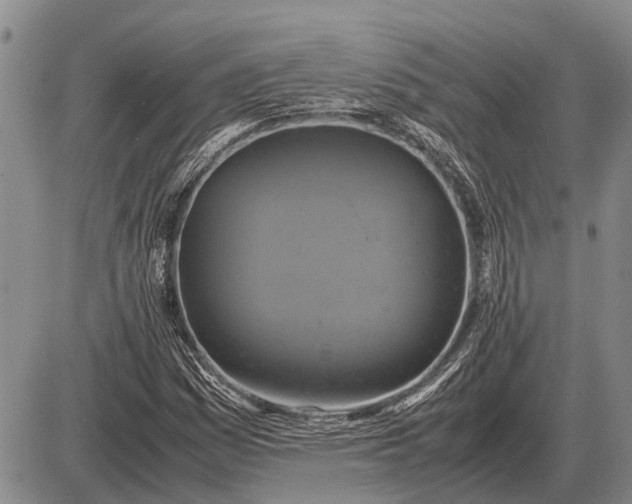 X0000085271161200703231733