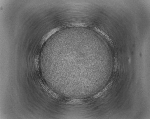 X0000085271162200703231733