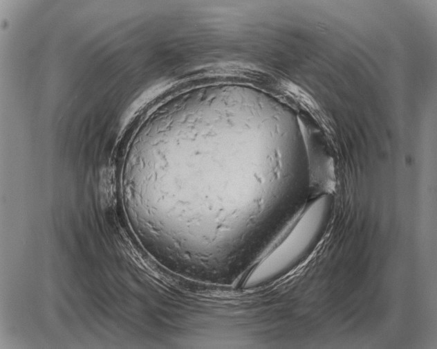 X0000085271164200703231733