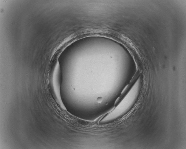 X0000085271165200703231733