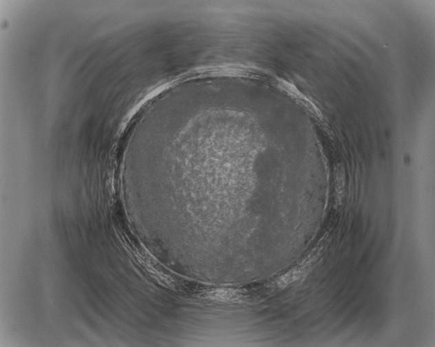 X0000085271166200703231733