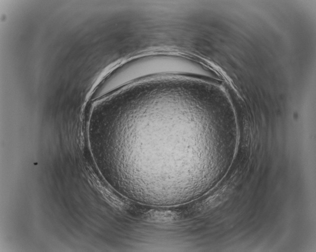 X0000085271168200703231733