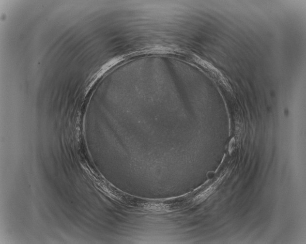 X0000085271170200703231733